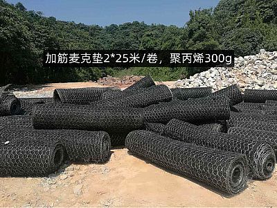 加筋麥克墊網(wǎng)格8*10cm,聚丙烯質(zhì)量300g,多少錢,怎么賣?